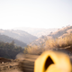Illustration for article titled What An Alfa Romeo 4C And A Canyon Road Will Teach You About Modern Turbos